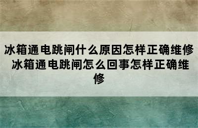 冰箱通电跳闸什么原因怎样正确维修 冰箱通电跳闸怎么回事怎样正确维修